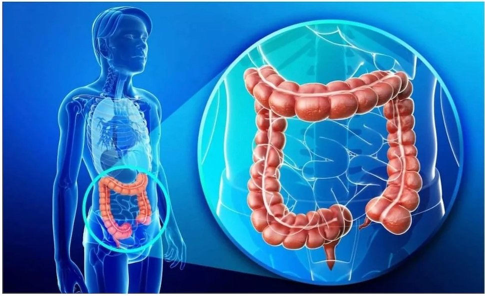 Retrouvez votre énergie
