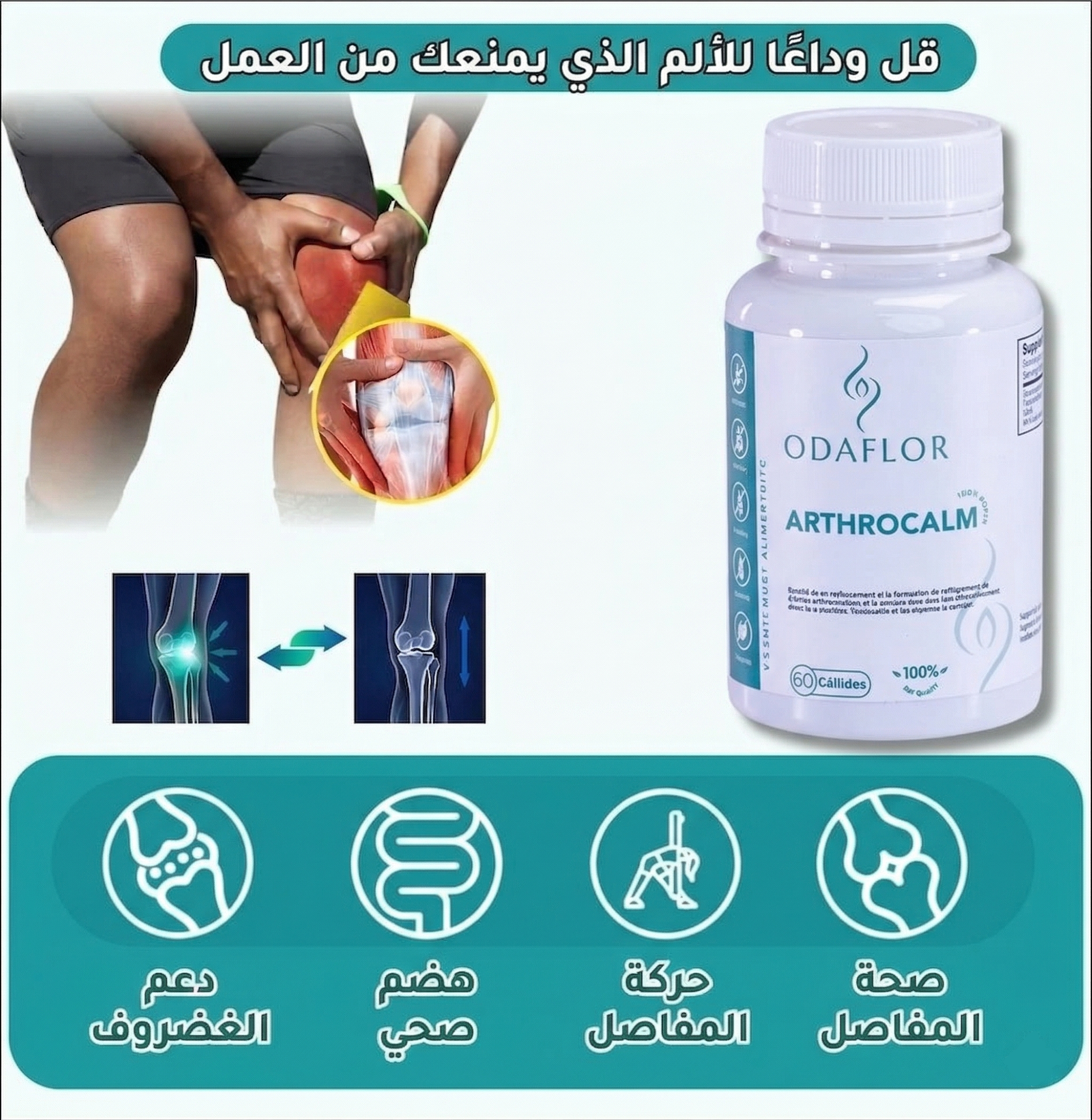 ARTHROCALM ODAFLOR
