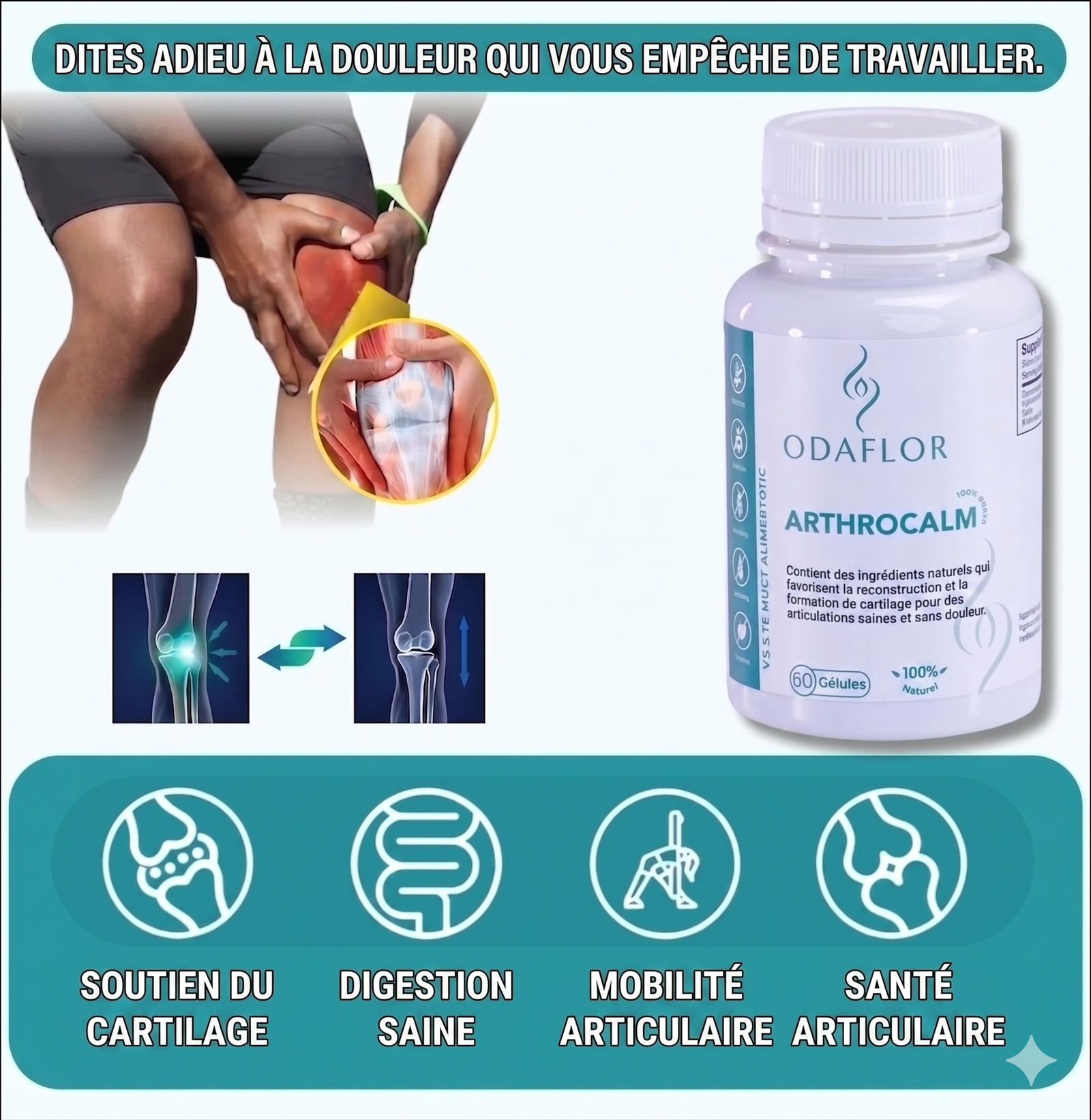 ARTHROCALM ODAFLOR